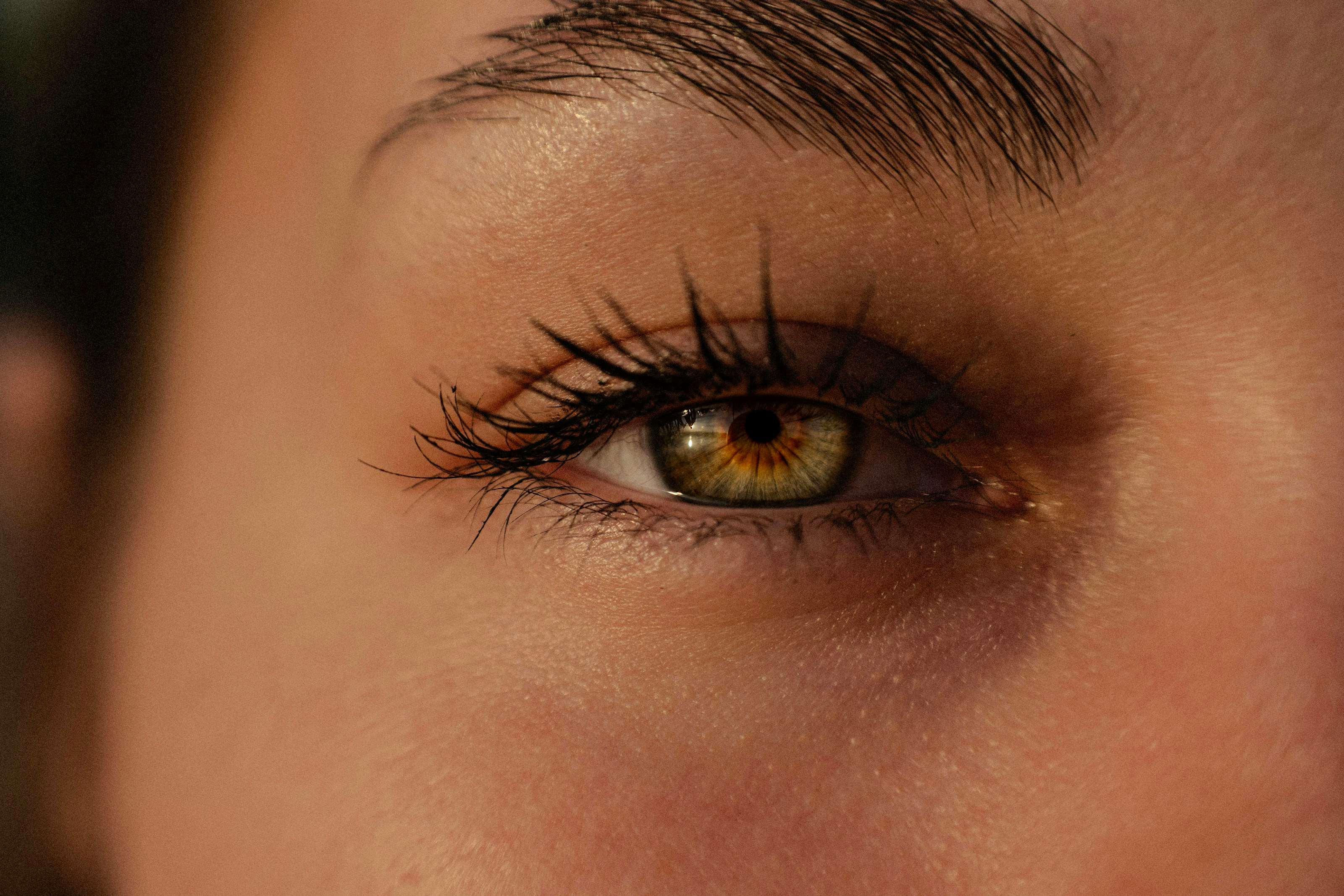 Nahaufnahme eines Auges mit natürlich geschwungenen Wimpern nach einem Wimpernlifting